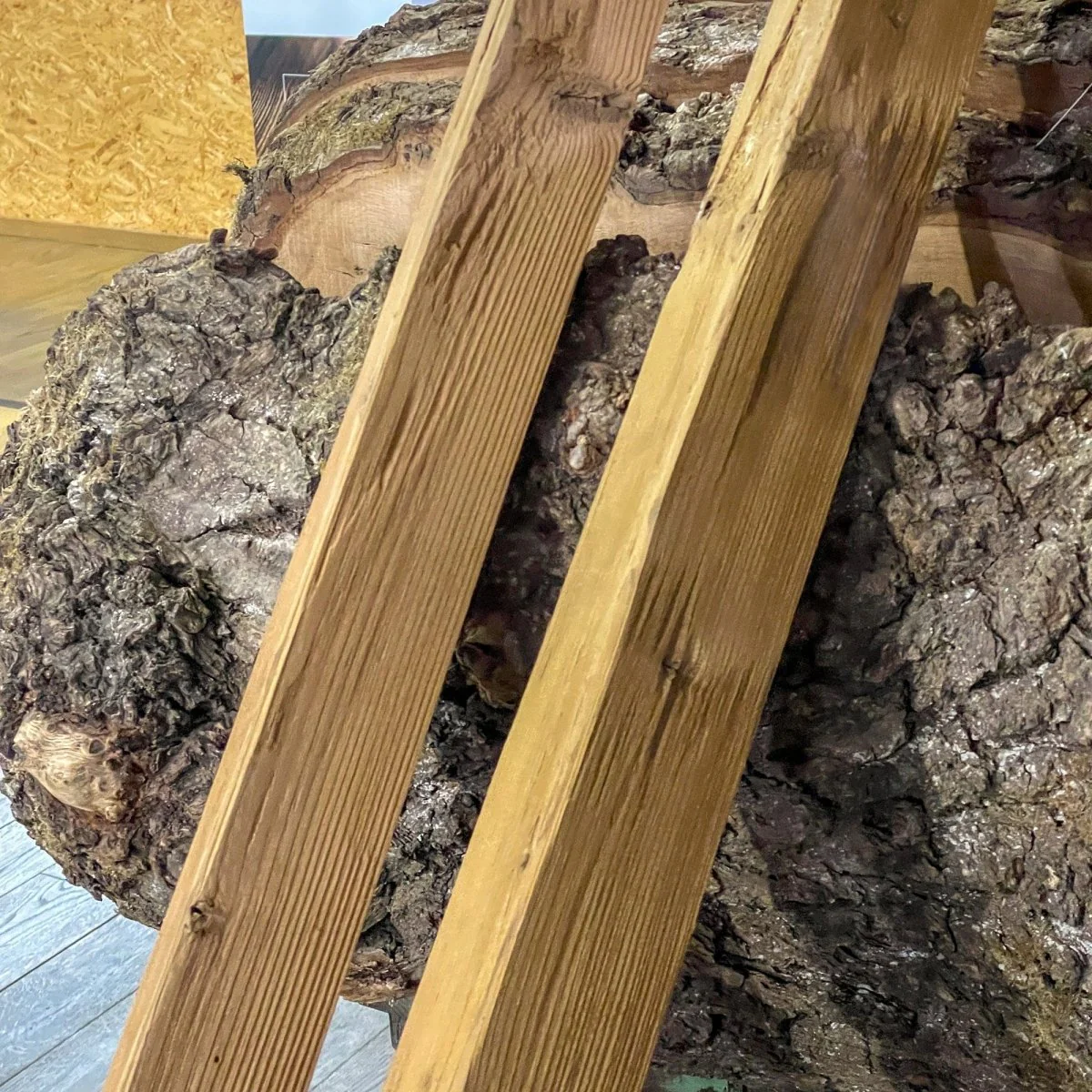 Deckleiste / Abschlussleiste Thermofichte gehackt - Image 3